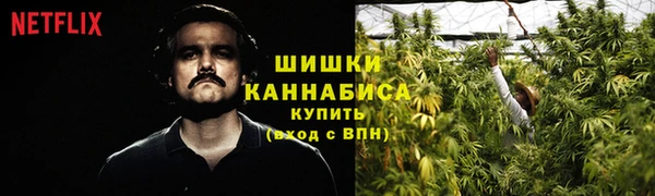 ALPHA PVP Новозыбков