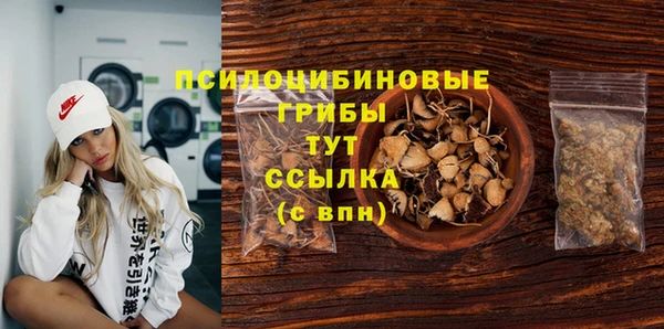 ALPHA PVP Новозыбков