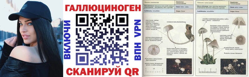 мега ONION  Долгопрудный  Галлюциногенные грибы Cubensis 