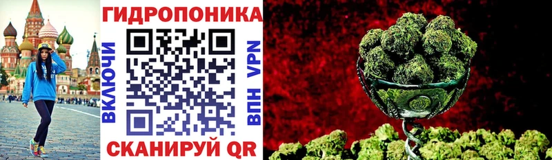 как найти наркотики  Долгопрудный  Канабис LSD WEED 